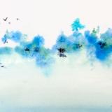 The Lake