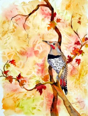 Autumn Glory: Northern Flicker