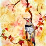 Autumn Glory: Northern Flicker