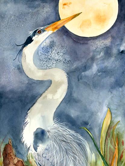 Blue Moon Heron