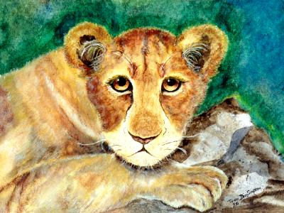 Chutzpah, Lion Cub