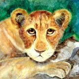Chutzpah, Lion Cub