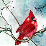 Cardinal in Winter