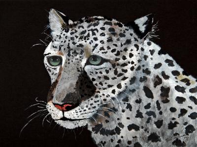 Vern, Snow Leopard