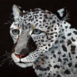 Vern, Snow Leopard
