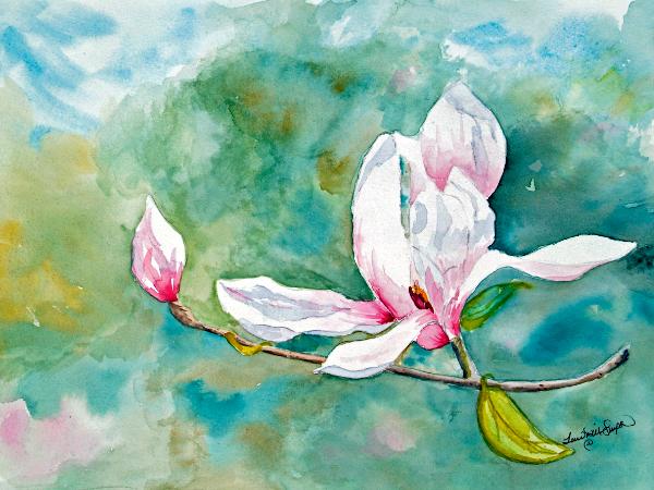 Magnolia Blossom