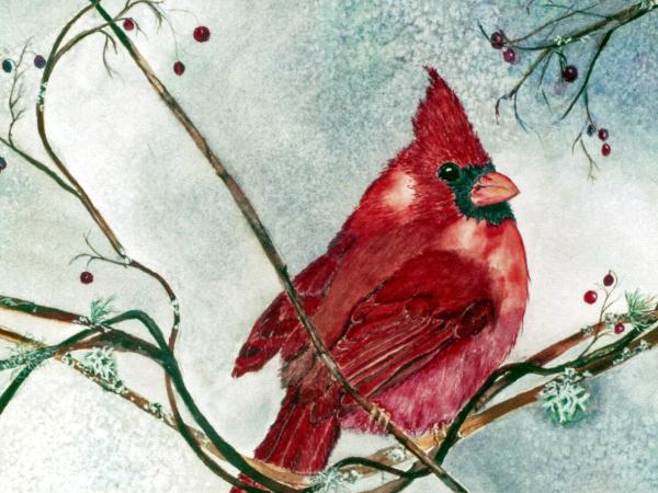 Christmas Cardinal