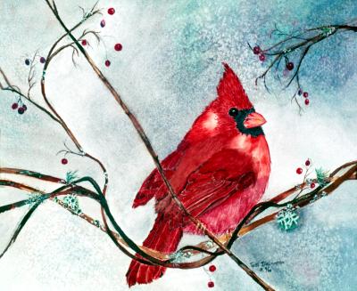 Cardinal in Winter
