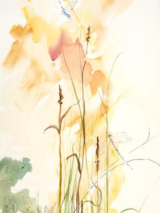 Tall Grass