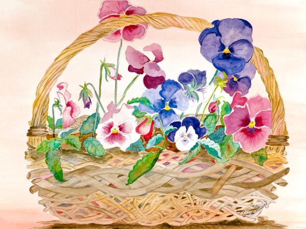 Basket of Pansies