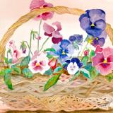 Basket of Pansies