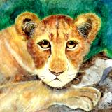 Chutzpah, Lion Cub