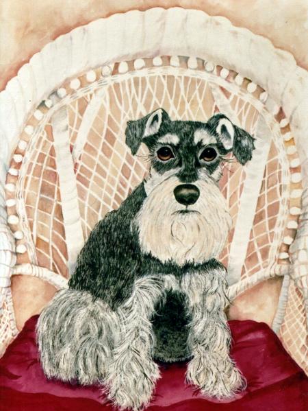 Schnauzer